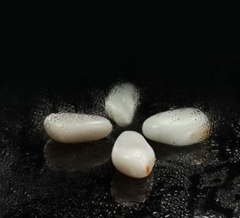 瞿利軍玉雕藝術精品