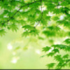 醉清風5152